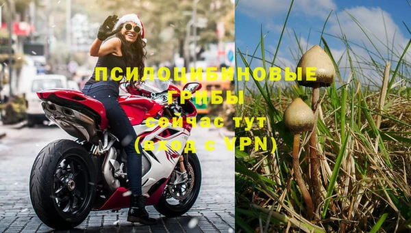 альфа пвп Санкт-Петербург