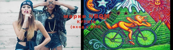 хмурый Новосибирск