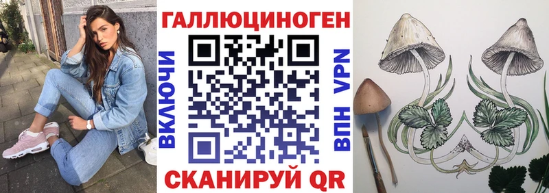 Галлюциногенные грибы прущие грибы  Купить  Наро-Фоминск 